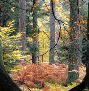 Enterglade Colour Art Greetings Card