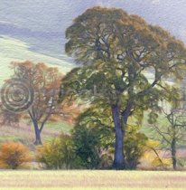 Oak Fields Colour Art Greetings Card