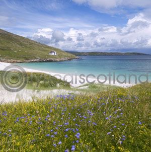 Vatersay, Outer Hebrides Colour Photo Greetings Card
