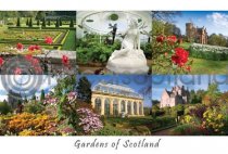 Scottish Gardens Composite Postcard