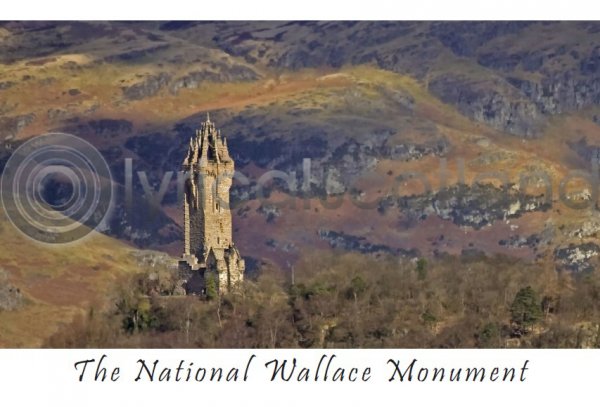 National Wallace Monument Landscape Postcard