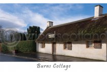 Burns Cottage Postcard (HA6)