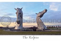 Kelpies Daytime Postcard