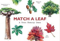 Match a Leaf Tree Memory Game