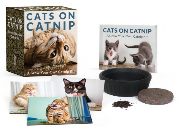 Cats on Catnip: Grow Your Own Catnip Kit