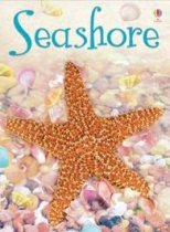 Beginners Seashore