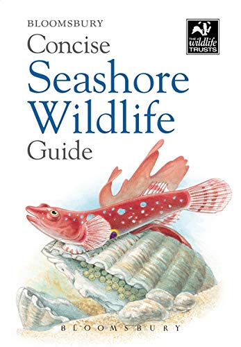 Concise Seashore Wildlife Guide