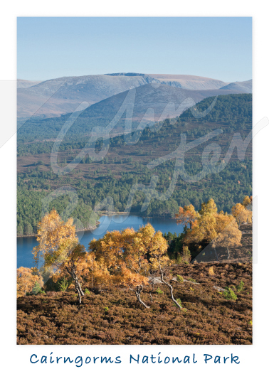 Cairngorms National Park, Highlands 1 Magnet (V CB)