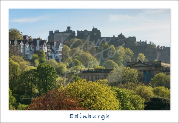 Edinburgh Castle beyond Princes St. Gardens, Edinburgh Postcard