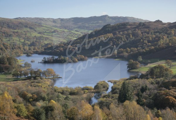 Rydal Water from White Moss Common, Lake District Postcard