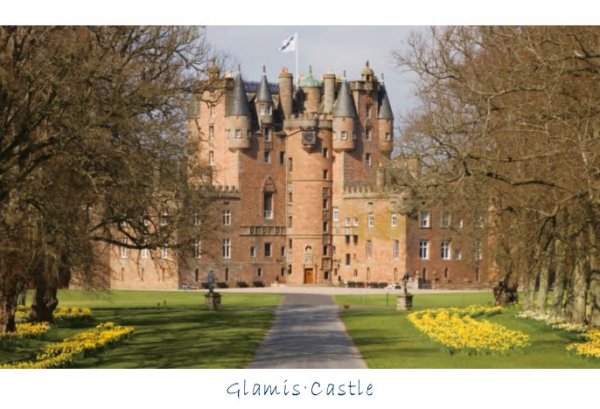 Glamis Castle Entrance with Daffodils Postcard