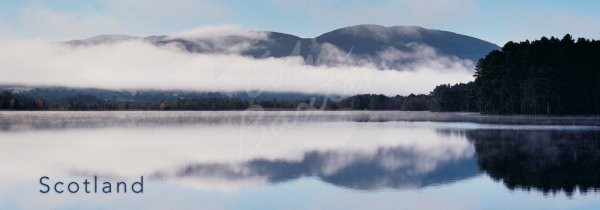 Loch Garten, Strathspey, Highlands Postcard
