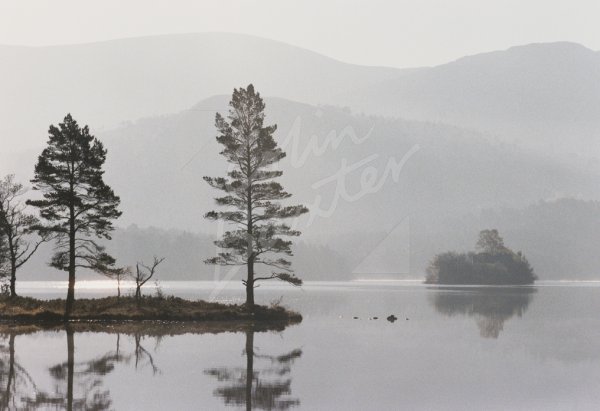 Loch an Eilein, Rothiemurchus, Cairngorms Postcard
