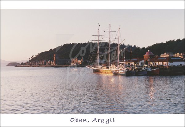 Oban Harbour, Argyll Postcard
