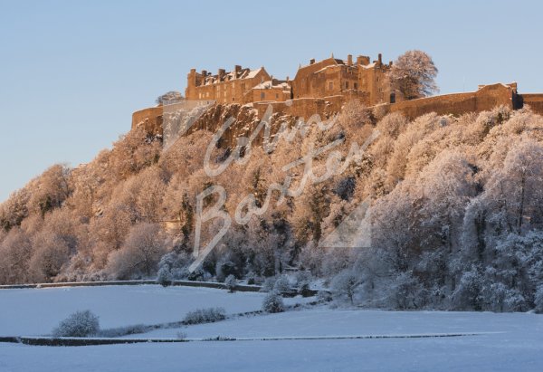 Stirling Castle in Snow Postcard