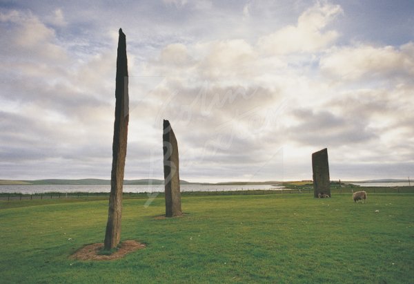 Stones of Stenness, Mainland, Orkney Postcard (H Std CB)