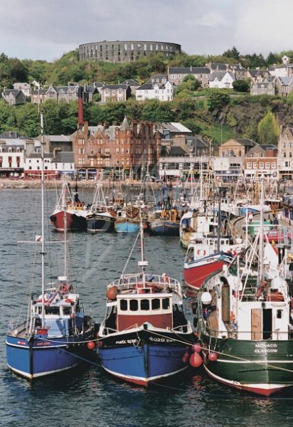 Oban Harbour & McCaig's Tower, Argyll Postcard