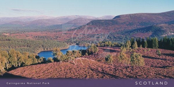 Cairngorms & Loch an Eilein Postcard