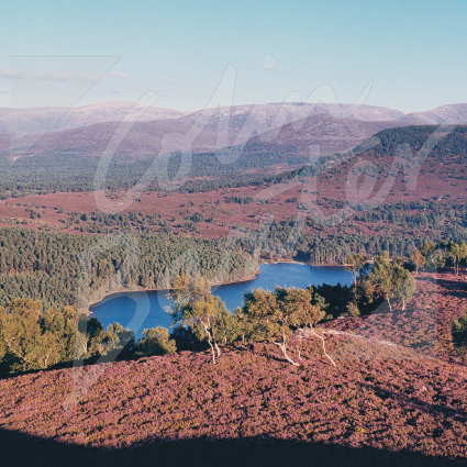 Cairngorms & Loch an Eilein, CNP Greetings Card
