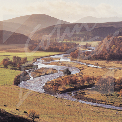 Strath Avon, Moray Greetings Card (CB)