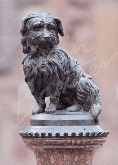 Greyfriars Bobby, Edinburgh Magnet