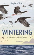 Wintering:A Season With Geese
