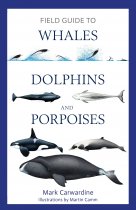 Field Guide to Whales, Dolphins & Porpoises