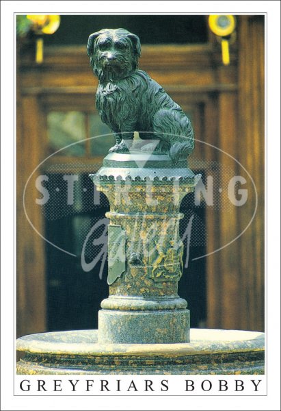 Greyfriars Bobby Postcard