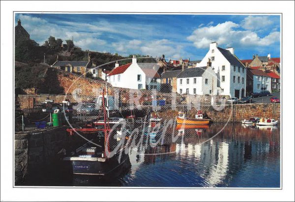 Crail Harbour Postcard