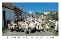 Rush Hour in Scotland Postcard (H SG)