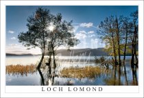 Loch Lomond, Sun Burst, Autumn Postcard