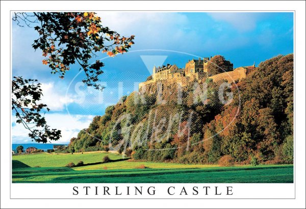 Stirling Castle, Autumn Morning Postcard