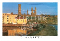 Harbour, St Andrews Postcard