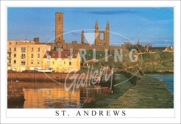 Harbour, St Andrews Postcard (H SG)