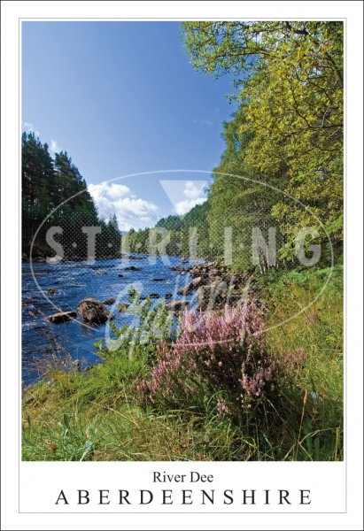 River Dee - Aberdeenshire, at Inver Postcard