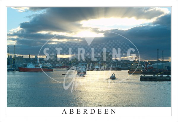Aberdeen Harbour, Evening Light Postcard