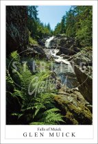 Falls of Muick - Glen Muick Postcard