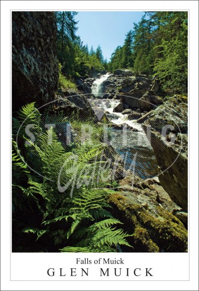 Falls of Muick - Glen Muick Postcard