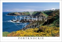 Portknockie Postcard