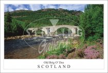 Old Brig o' Dee - Scotland Postcard