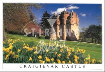 Craigievar Castle, Daffodils Postcard