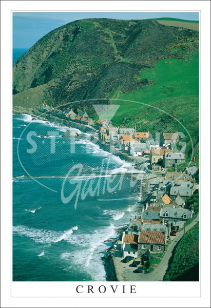 Crovie Postcard