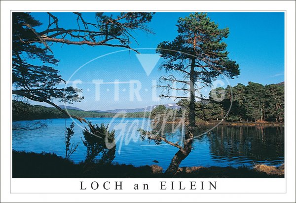 Loch an Eilein, Rothiemurchus Postcard