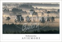 Rothiemurchus - Aviemore, Forest Postcard
