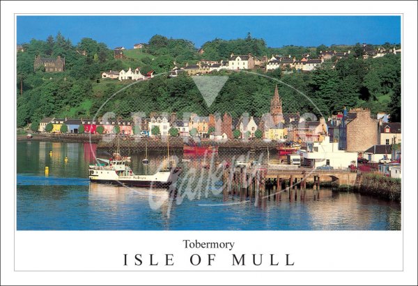 Tobermory - Isle of Mull, Ferry Early Morning Postcard (H SG)