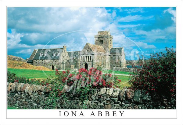 Iona Abbey, Summer Postcard