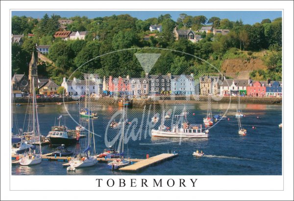 Harbour, Tobermory Postcard