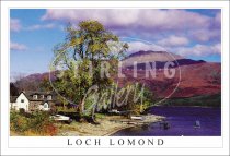 Ben Lomond from the Shore - Loch lomond Postcard