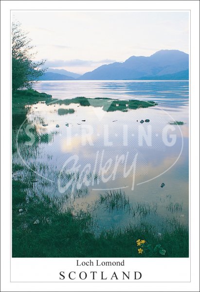 Loch Lomond - Scotland, Springtime Postcard (V SG)