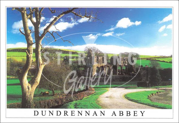 Dundrennan Abbey, near Kirkcudright Postcard (H SG)